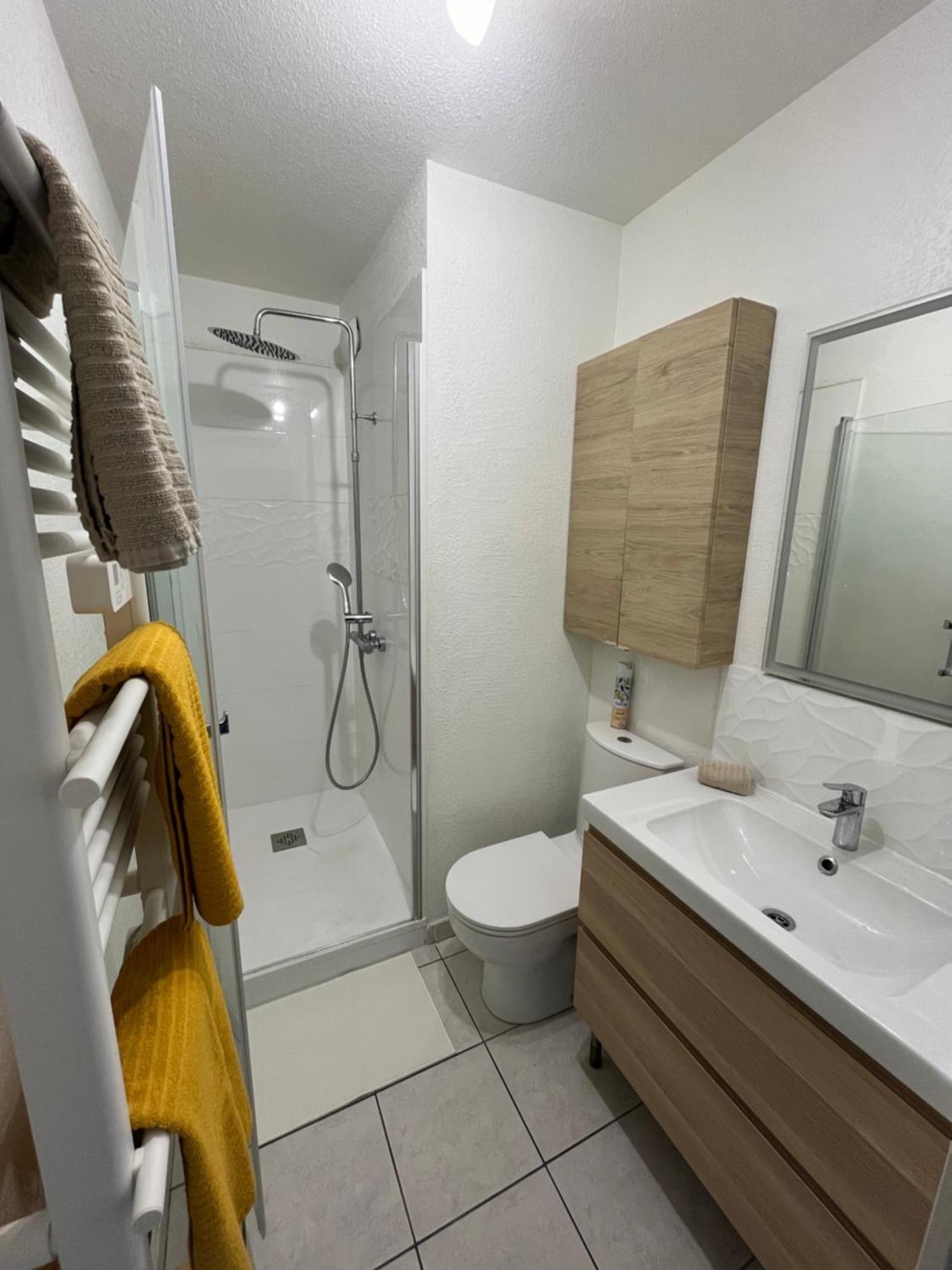 Apartamento Joli T2/ Tram/ Clim/ Parking/ Wifi/ Piscine Montpellier Exterior foto